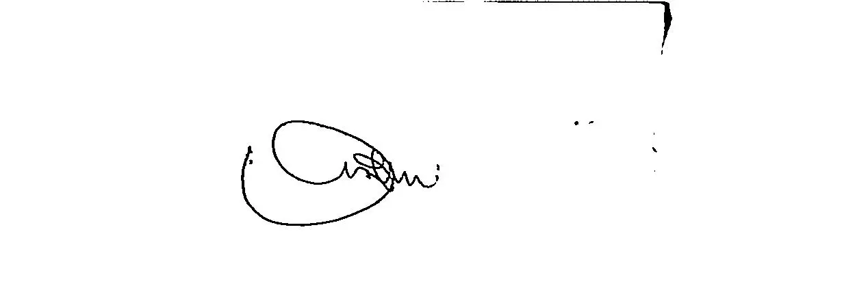 signature awe selim